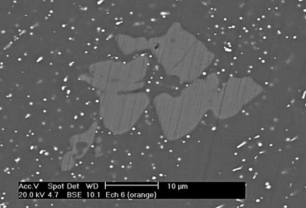 Photo. Grossissement au microscope optique des verres étudiés.