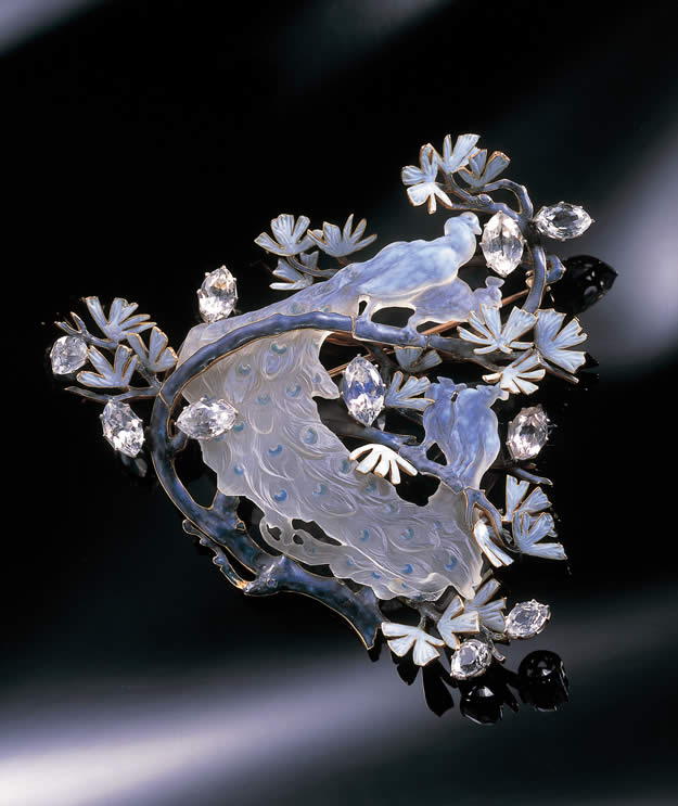 Photo. René Lalique, broche Quatre paons sur une branche de pin