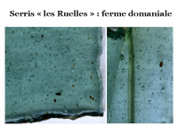 Photographie : Serris les Ruelles, ferme domaniale, 7e-8e siècles, fragments de verre (crédit F. Gentili / INRAP)