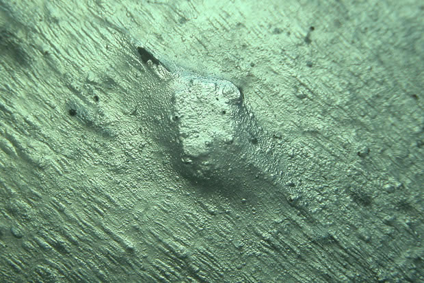 (Photographie) Détail face inférieure (Crédit DRASSM)