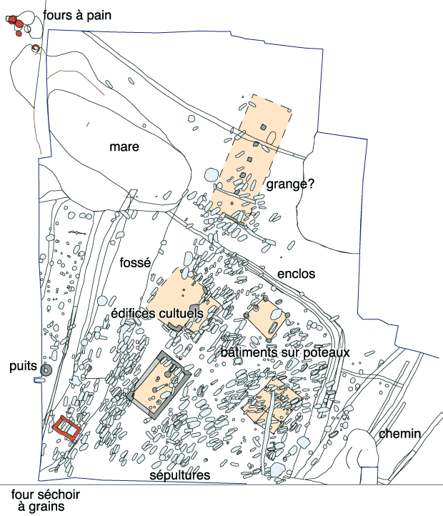 Relevé : Site de Serris les Ruelles, nécropole (crédit F. Gentili / INRAP)