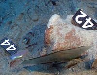 Photographie : Effondrement d’un col d’amphore ayant brisé une vitre in situ (crédit Daniel Rebillard)